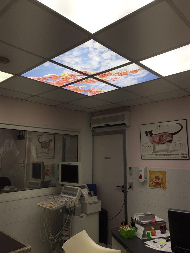 Cabinet vétérinaire Roquebrune