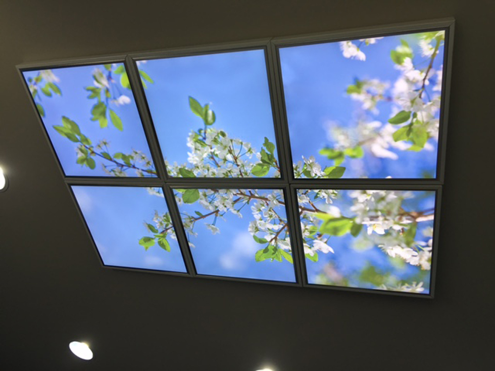 Clinique Bonneveine Chimiothérapie