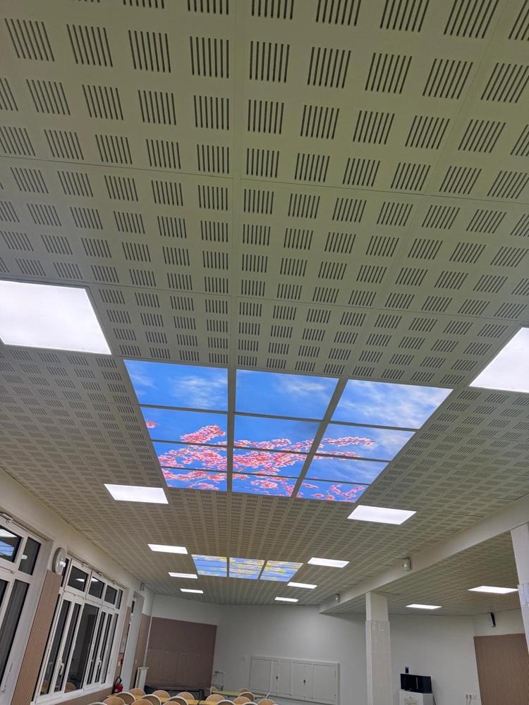 École Paris 75019 2x12 dalles