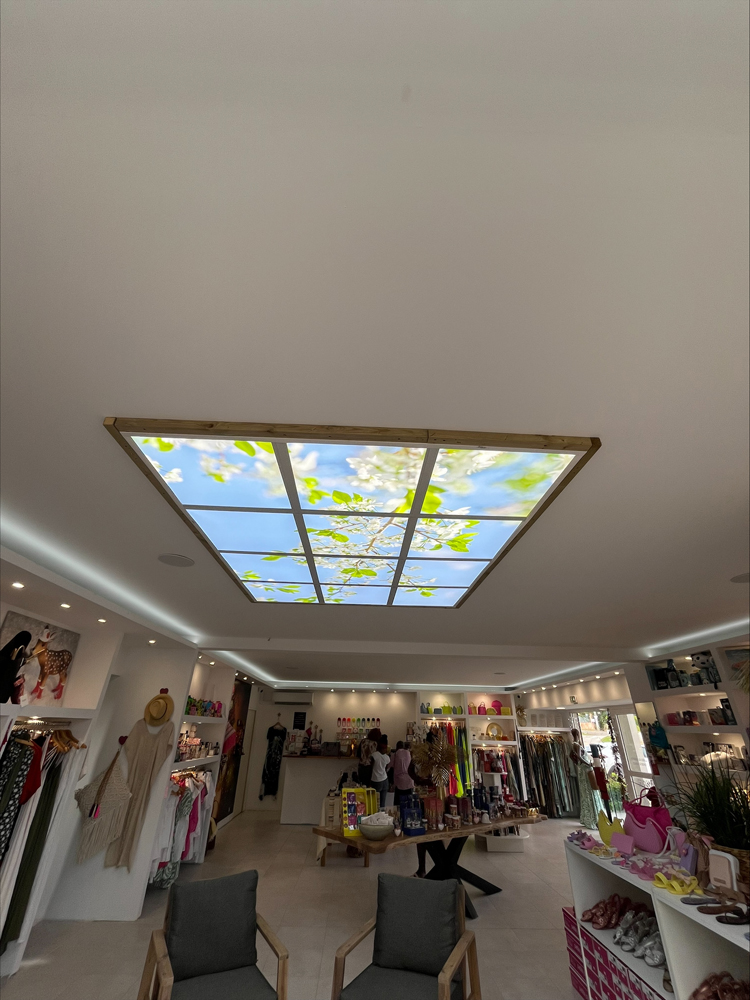 Boutique Fort de France 12 dalles