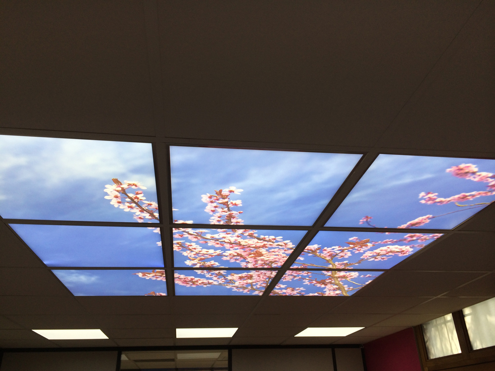 Planète Gâteaux Accueil 9 dalles